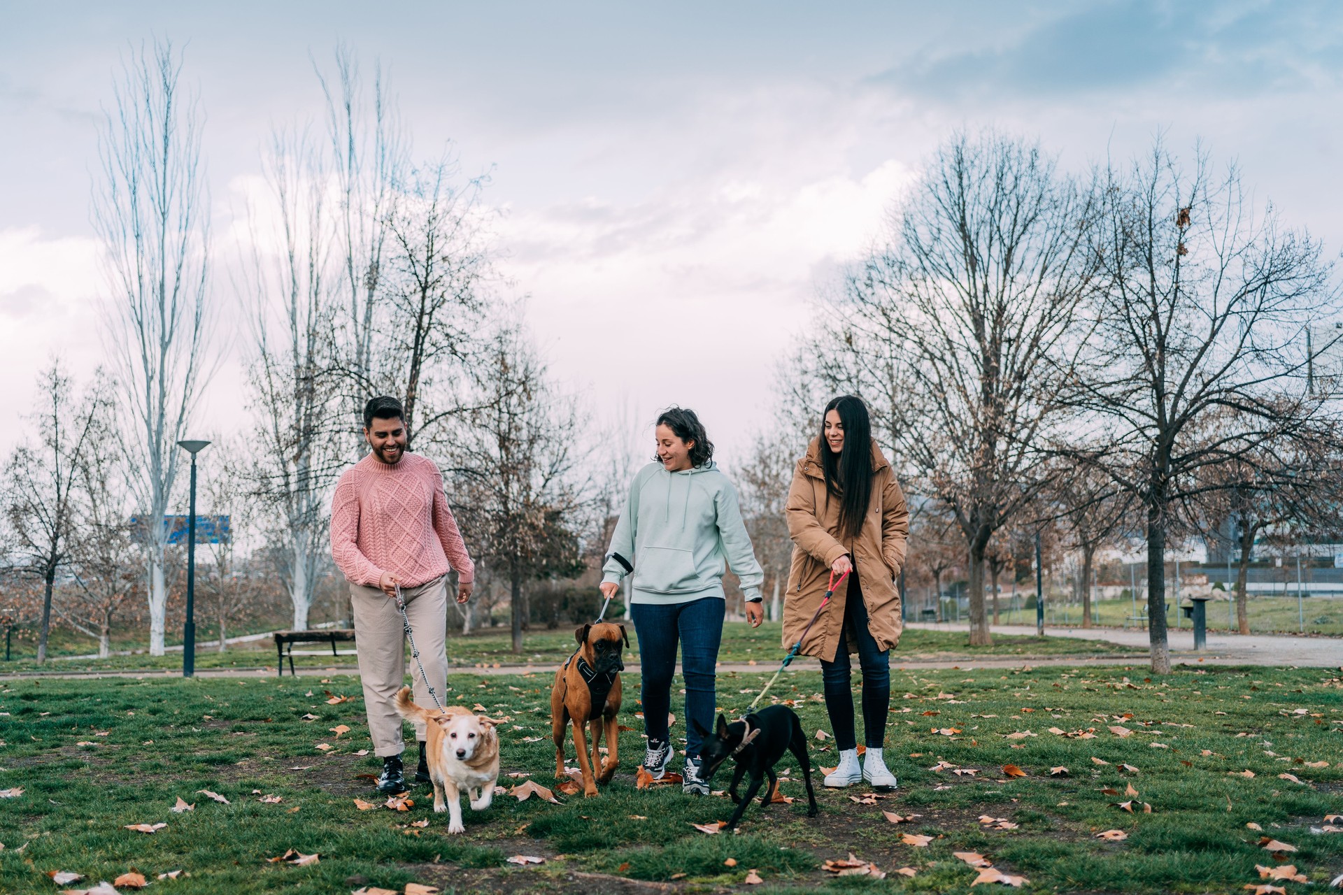 Three friends walking their dogs in park