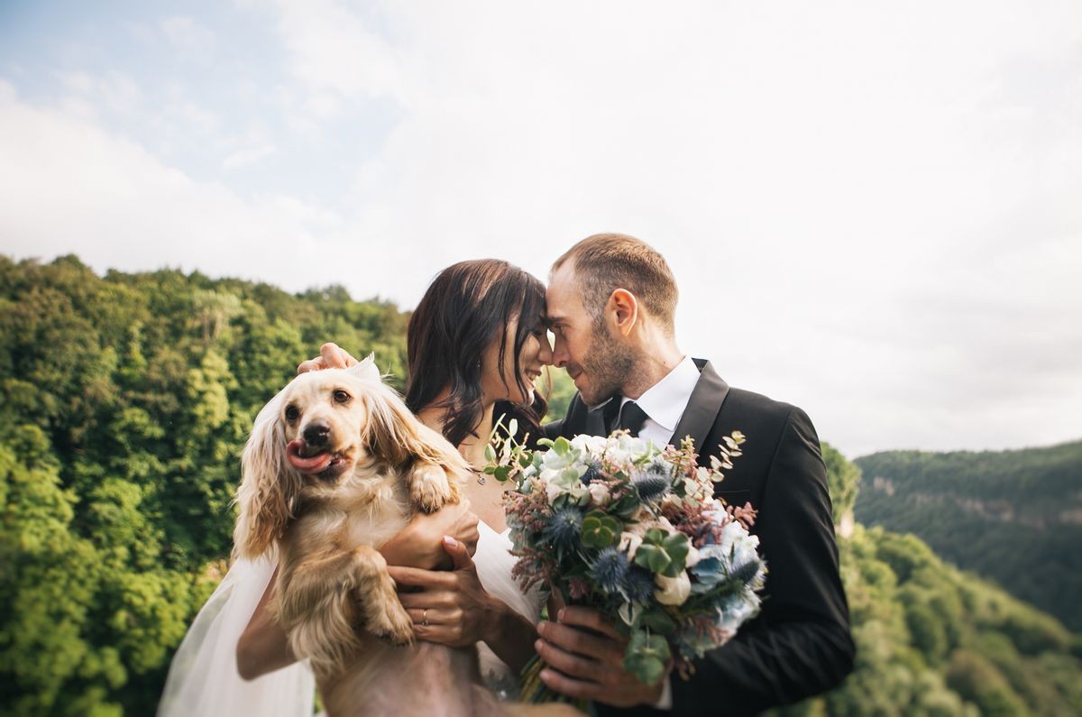 a loving couple - the bride and groom and dog on a wedding walk in the mountains in the spring, a beautiful green landscape